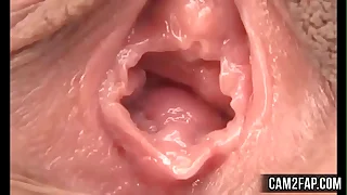 Pussy Unconforming Asian Pussy Licking Porn Video